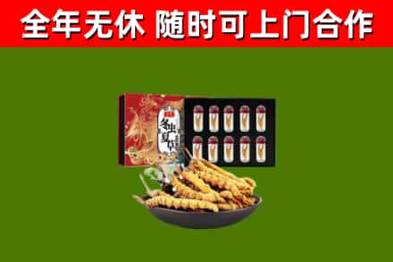 江苏省烟酒回收冬虫夏草礼盒.jpg
